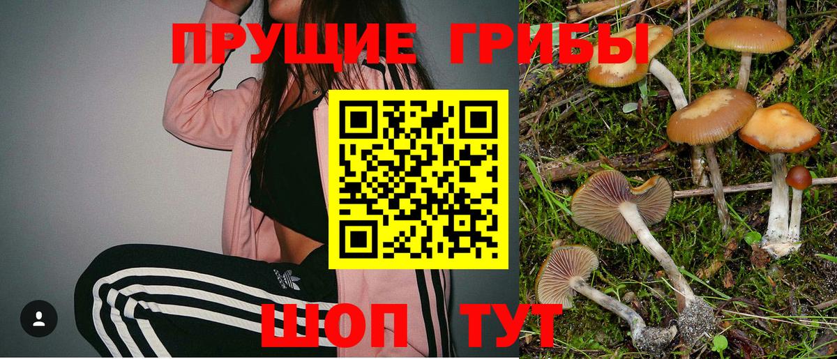 Галлюциногенные грибы GOLDEN TEACHER  Вход с VPN  Юрга 