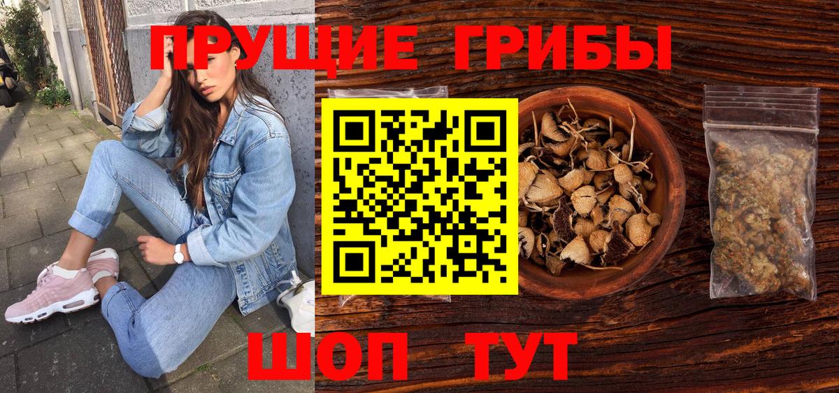 Псилоцибиновые грибы Psilocybine cubensis Юрга